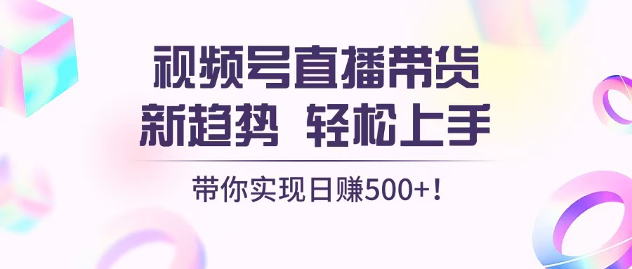 视频号直播带货新趋势，轻松上手，带你实现日赚500+最新课 · 网创资源|实战项目|创业项目|中创网最新课