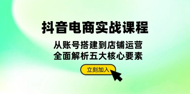 抖音 电商实战课程：从账号搭建到店铺运营，全面解析五大核心要素最新课 · 网创资源|实战项目|创业项目|中创网最新课