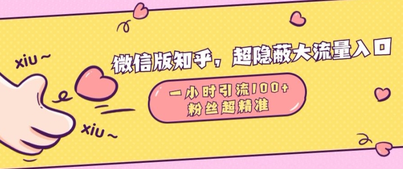 微信版知乎，超隐蔽流量入口1小时引流100人，粉丝质量超高【揭秘】最新课 · 网创资源|实战项目|创业项目|中创网最新课