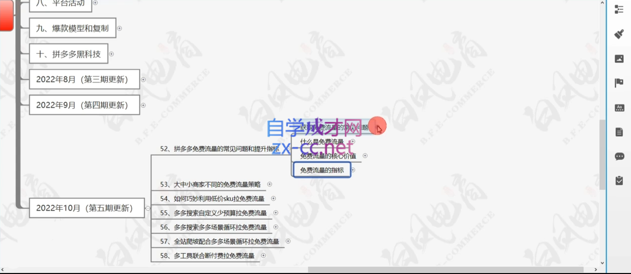 白凤电商·拼多多日销千单训练营(更新11月)最新课 · 网创资源|实战项目|创业项目|中创网最新课